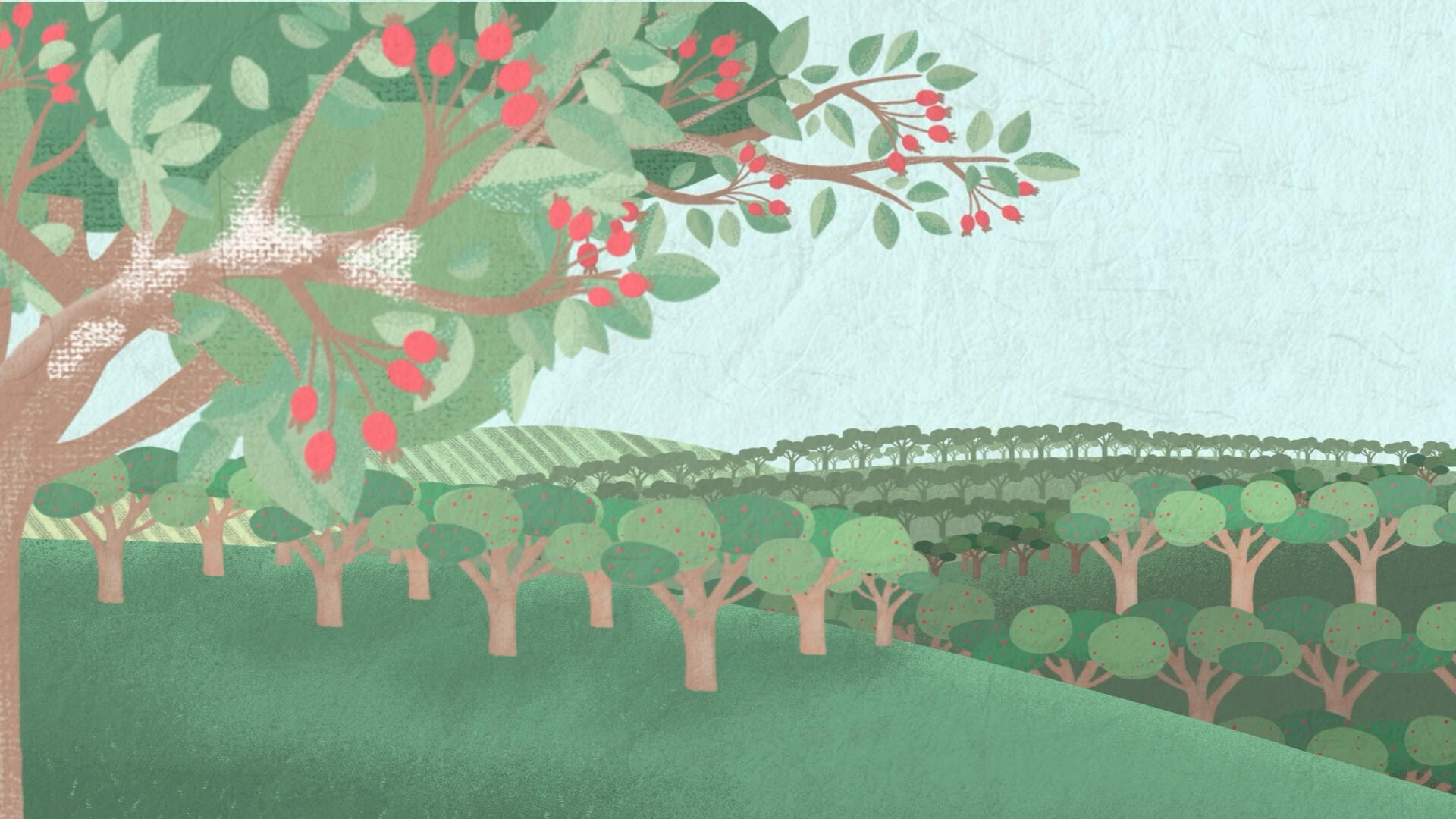 Scena di Movento, video materico Illustrazione di video materico